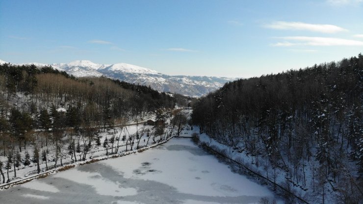 Karagöl Tabiat Parkı beyaza büründü