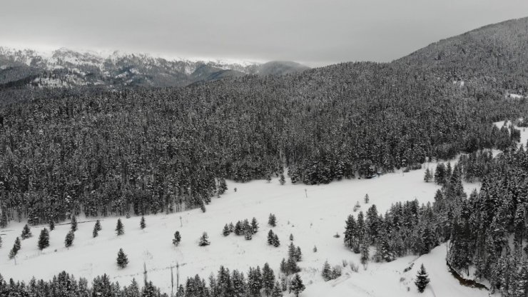 Anadolu’nun yüce dağı Ilgaz’da kar manzaraları