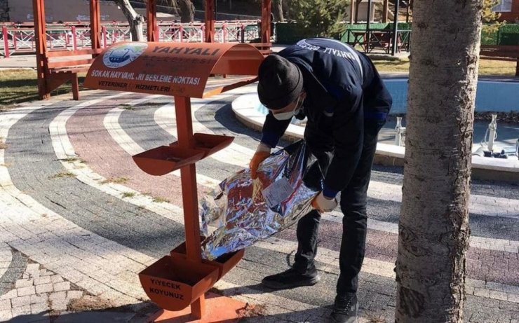 Kısıtlamada sokak hayvanları unutulmadı