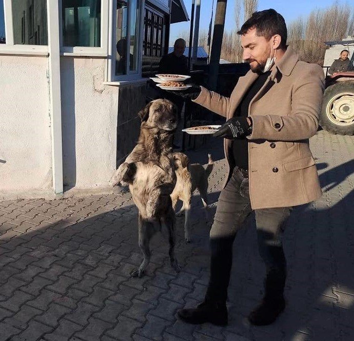 Seyitgazi Kaymakamlığı sokak hayvanları için yiyecek bıraktı