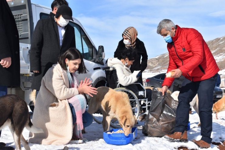 Yemek artıkları ziyan olmuyor, sokak hayvanlarının karnını doyuruyor