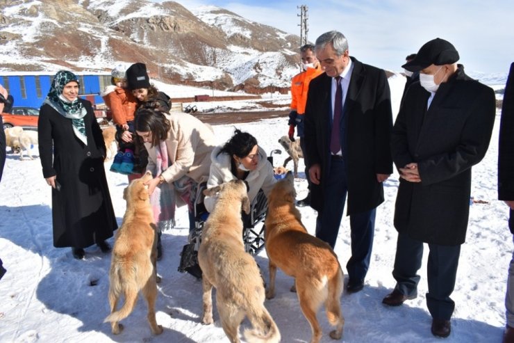 Yemek artıkları ziyan olmuyor, sokak hayvanlarının karnını doyuruyor