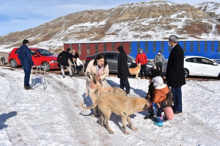 Yemek artıkları ziyan olmuyor, sokak hayvanlarının karnını doyuruyor