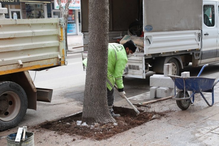 Aksaray’da yeşil alanların bakımı kış aylarında da devam ediyor