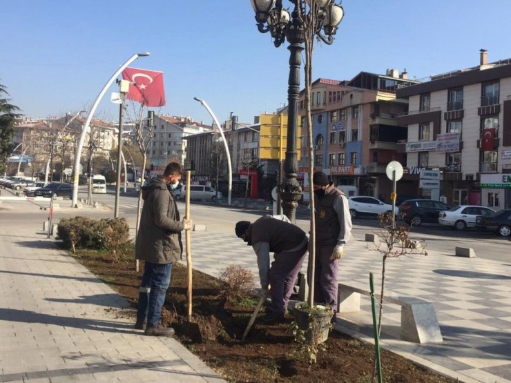 Keçiören her mevsim ağaçlandırılıyor