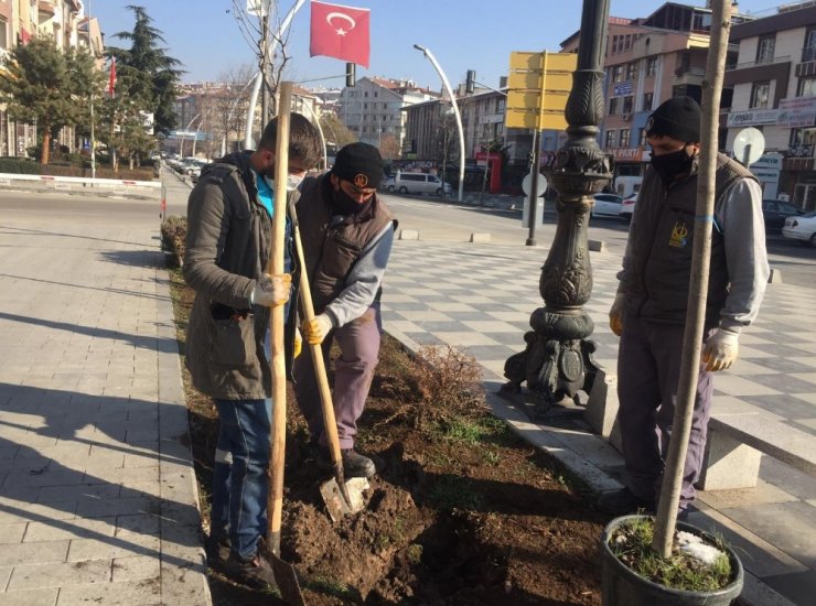 Keçiören her mevsim ağaçlandırılıyor