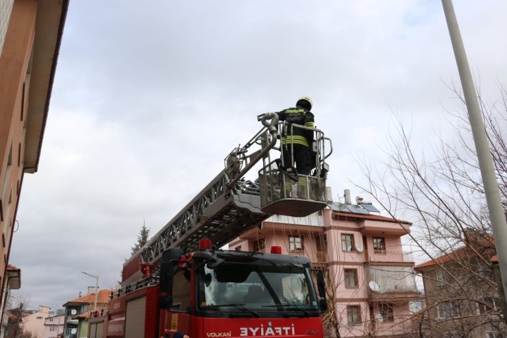 Çatıda mahsur kalan kediyi itfaiye ekipleri kurtardı