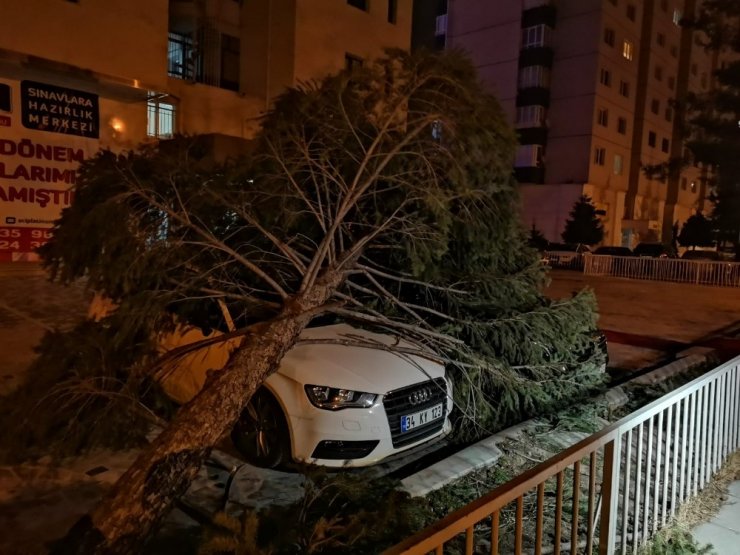 Şiddetli rüzgar çatıları uçurdu, ağaçları yerinden söktü