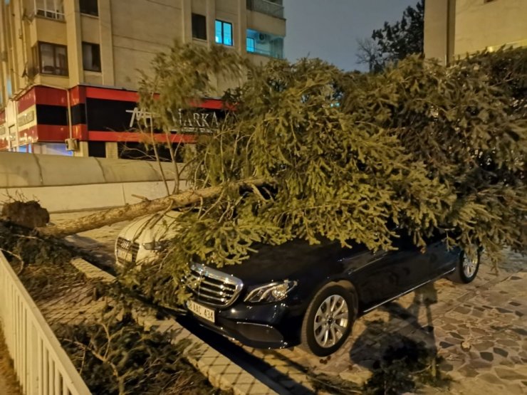 Şiddetli rüzgar çatıları uçurdu, ağaçları yerinden söktü