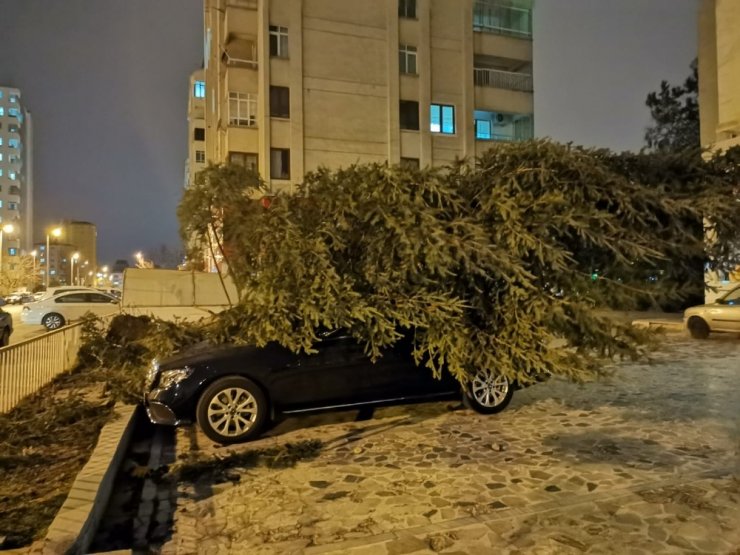 Şiddetli rüzgar çatıları uçurdu, ağaçları yerinden söktü