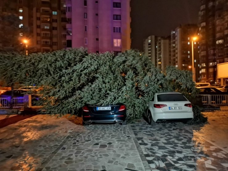 Şiddetli rüzgar çatıları uçurdu, ağaçları yerinden söktü