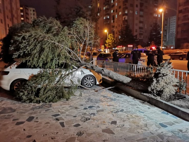 Şiddetli rüzgar çatıları uçurdu, ağaçları yerinden söktü