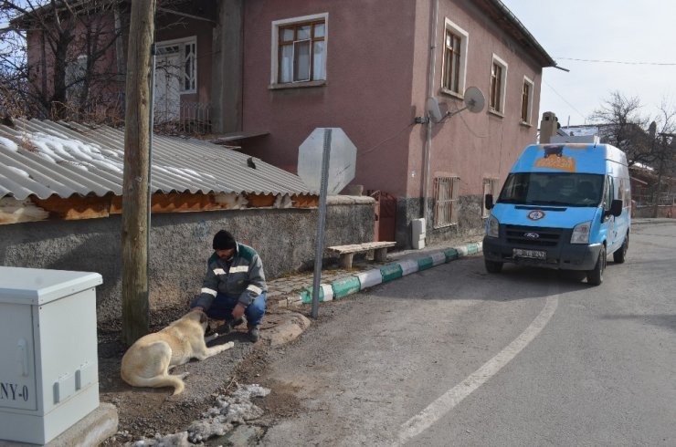 Patili Dostlar Ambulansı Bünyan’da yollarda