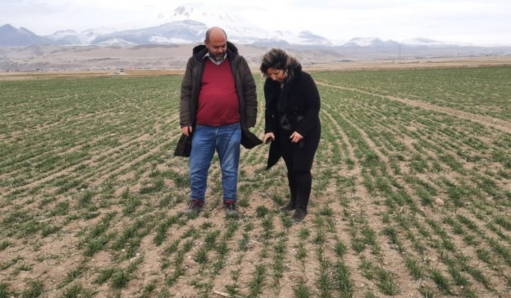 Yerli ve milli tohumların ulaşmadığı çiftçi kalmayacak