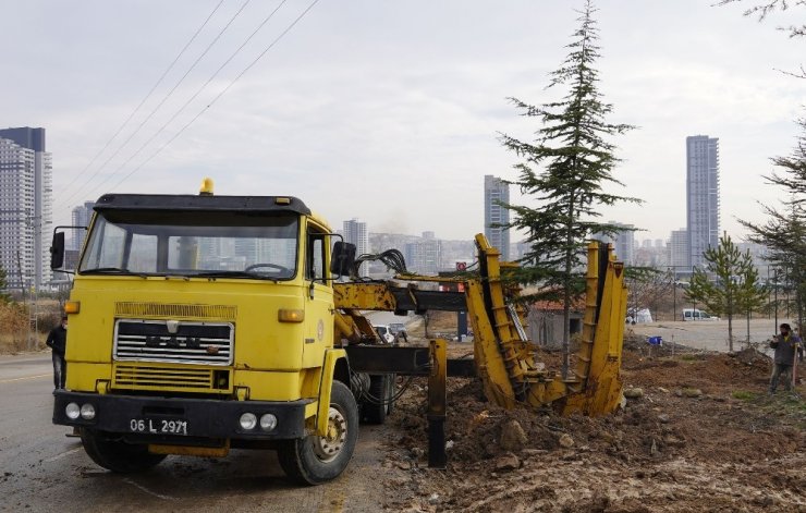 Keçiören’de ağaçlar verimli topraklara taşınıyor