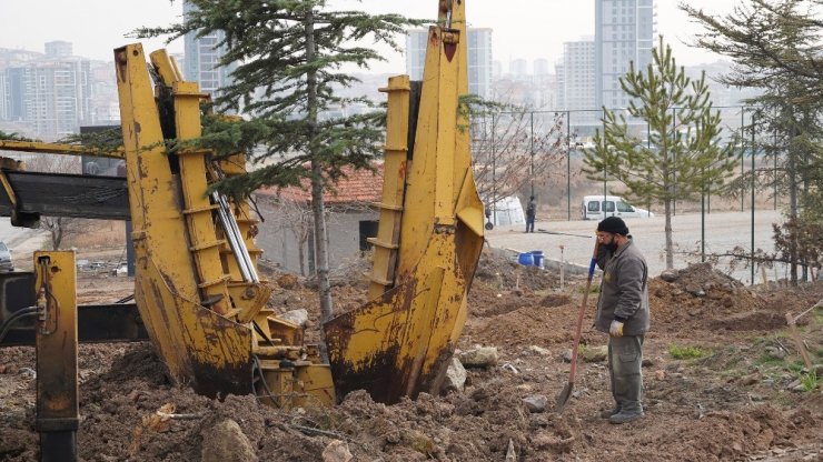 Keçiören’de ağaçlar verimli topraklara taşınıyor