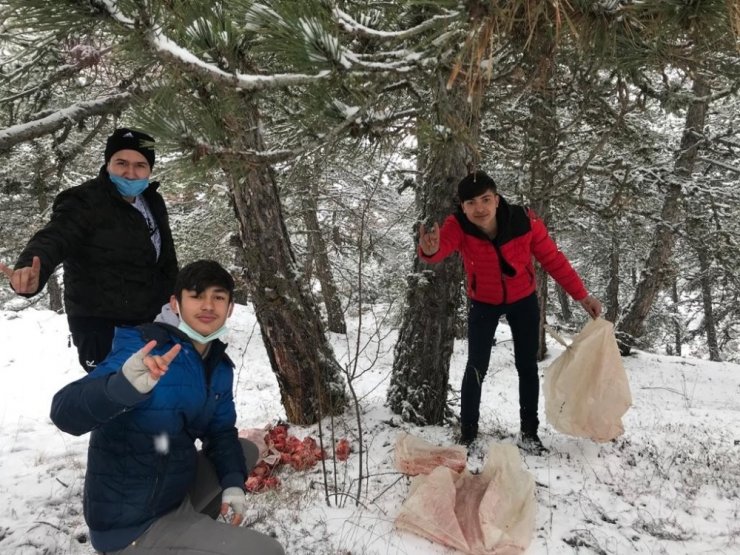 Yaban hayvanları için doğaya yiyecek bıraktılar