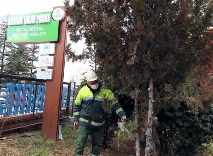 Çankaya sokaklarında bahar hazırlığı