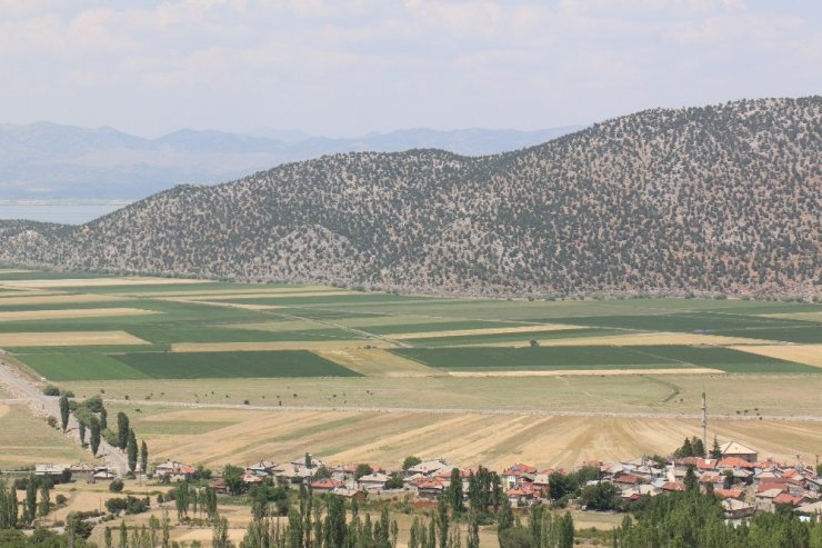 Konya’da tarımsal sulama destekleriyle endemik bitkiler yetişmeye başladı