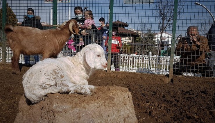 Keçiören’deki çocuklar doğal yaşam parkına akın etti