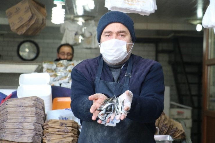 Yasak uzatıldı, sevenleri dondurulmuş hamsiyle yetinmek zorunda kaldı