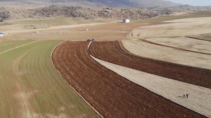 Kırıkkale’de ekim alanı yüzde 13 arttı