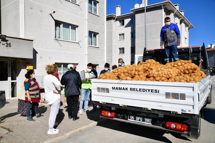 Mamak Belediyesi’nden 3 bin 800 haneye 150 ton patates desteği