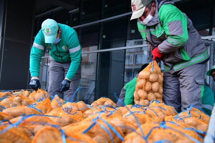 Mamak Belediyesi’nden 3 bin 800 haneye 150 ton patates desteği