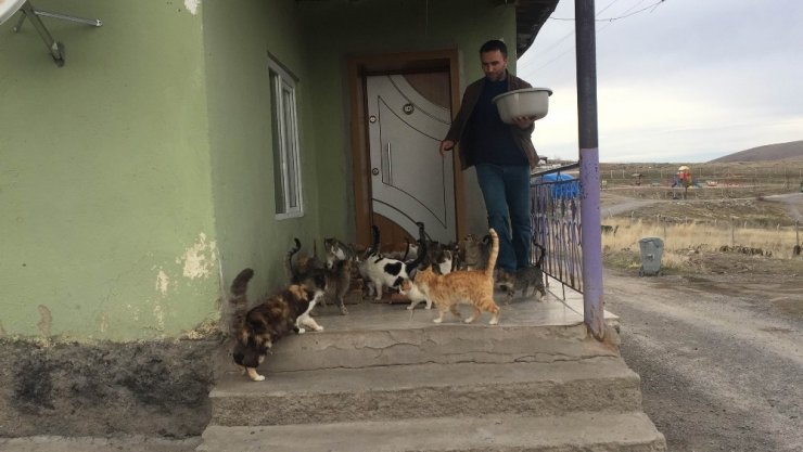 Konya’da yaklaşık 30 kedi besleyen imam: "Biz onlara baktıkça huzur bulduk"