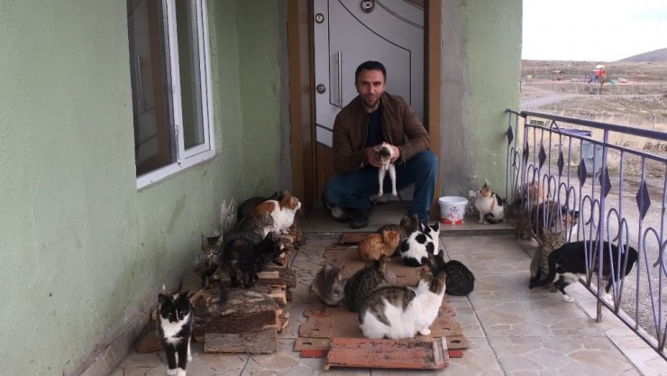 Konya’da yaklaşık 30 kedi besleyen imam: "Biz onlara baktıkça huzur bulduk"