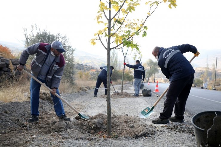 Ali Dağı’na 500 adet meyve ağacı daha