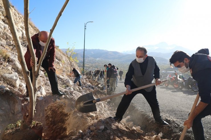 Ali Dağı’na 500 adet meyve ağacı daha