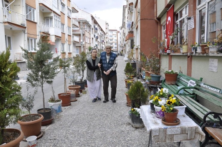 Yarım asırlık eşi için evinin önünü botanik parka çevirdi