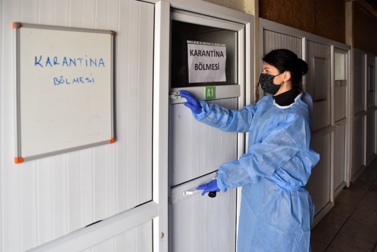 Kedilerde görülen FIP hastalığında yaşanan artış üzerine bir dizi önlem alındı