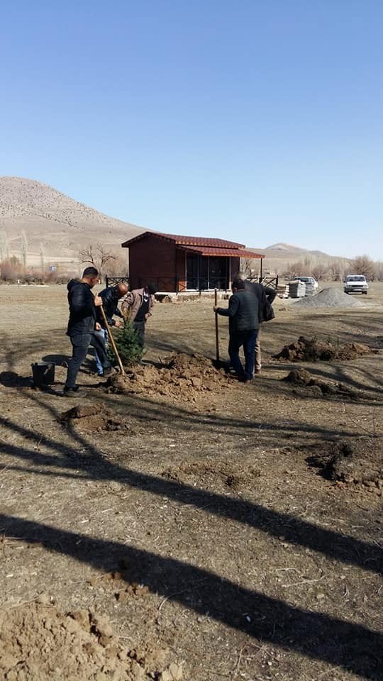 Kaymakam Cebeci’nin talimatıyla Tomarza’ya 10 bin fidan dikilecek