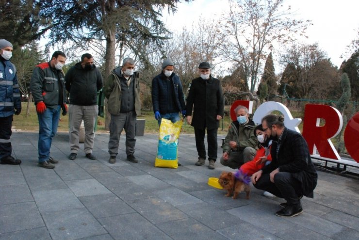 Yiyecek bulmakta zorlanan sokak hayvanları beslendi