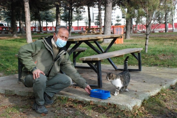 Yiyecek bulmakta zorlanan sokak hayvanları beslendi