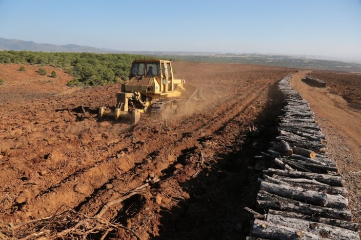 Alpu’da orman yatırımları yüzleri güldürüyor