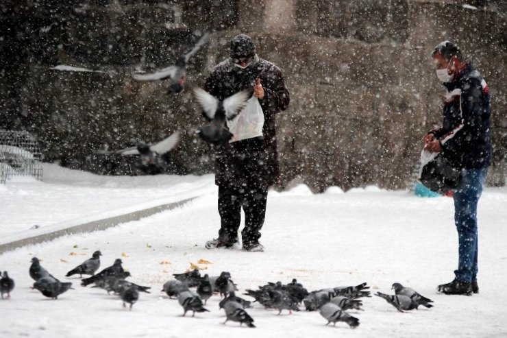 Kayseri’de beyaz şölen