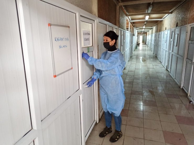 Mutasyona uğrayan kedi korona virüsünün ölüm oranı yüksek