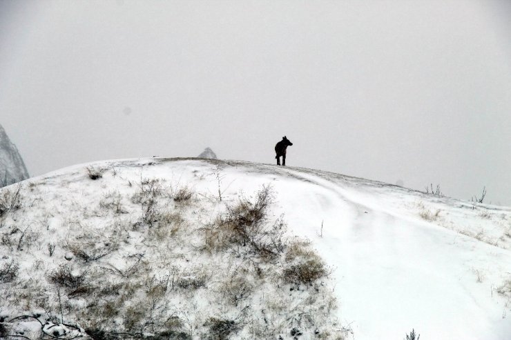 Kapadokya’dan tablo gibi fotoğraflar