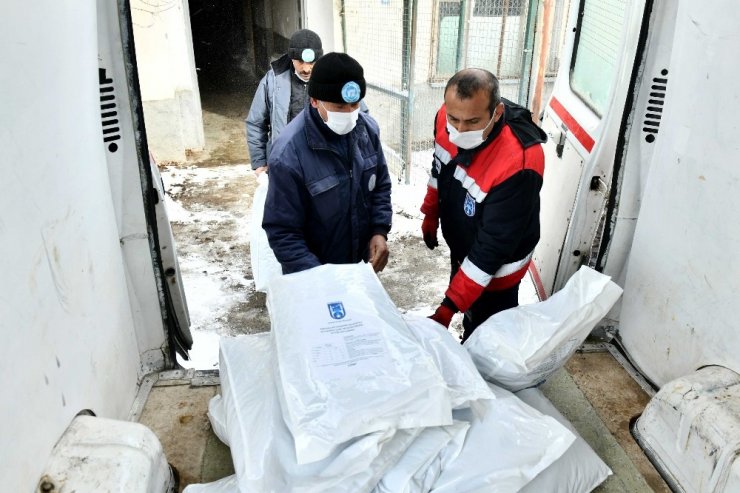 Ankara Büyükşehir Belediyesi’nden can dostlar için soğuk günlerde gönüllülerle iş birliği