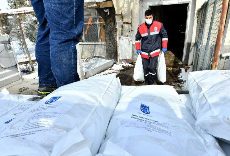 Ankara Büyükşehir Belediyesi’nden can dostlar için soğuk günlerde gönüllülerle iş birliği