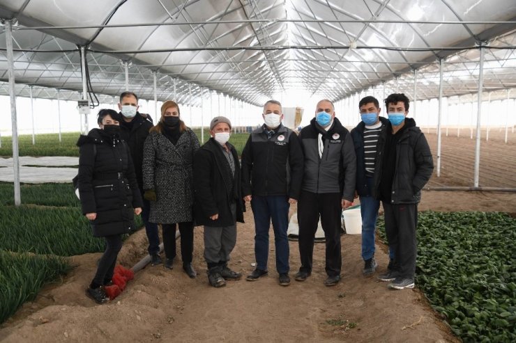 Kayseri’de yeni nesil seralarla üreticiler karlı yatırımlar yapıyor