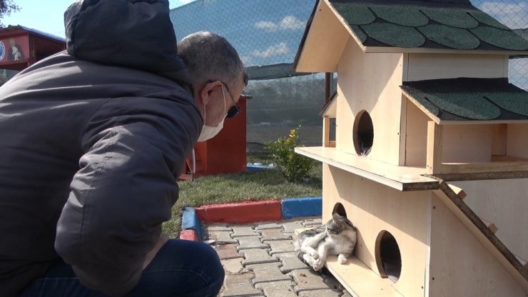 Engelleri kaldıran ’kedi köyü’