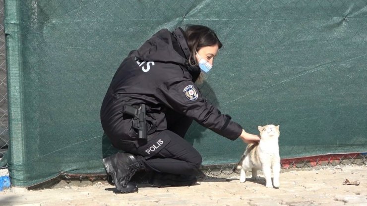 Engelleri kaldıran ’kedi köyü’