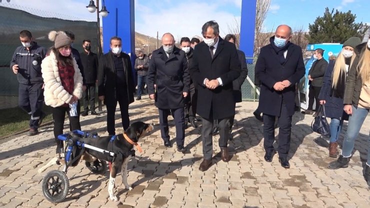 Engelleri kaldıran ’kedi köyü’