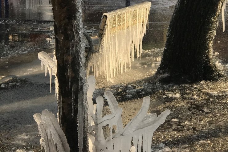 Buzla kaplanan parktan eşsiz görüntüler