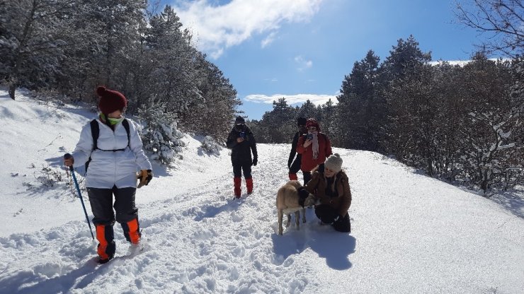 Doğa aktivistler kar kış dinlemeden çalışıyorlar