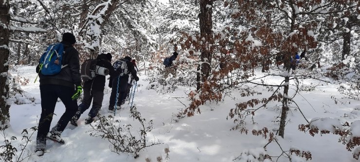 Doğa aktivistler kar kış dinlemeden çalışıyorlar